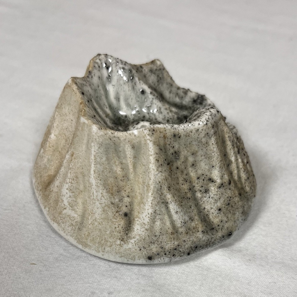 Mount St Helens Volcano Ash Salt OR Pepper Shaker 1980 Zoeller Rare Vintage -See